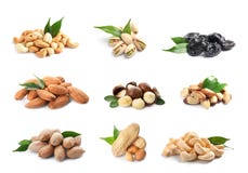 Stellen Sie von den gesunden Trockenfrüchten und von den geschmackvollen Nüssen auf Weiß ein lizenzfreie stockfotos Stellen Sie von den gesunden Trockenfrüchten und von den geschmackvollen Nüssen auf Weiß ein lizenzfreie stockfotos