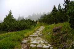 Stenbana i Tatra berg royaltyfri foto Stenbana i Tatra berg royaltyfri foto