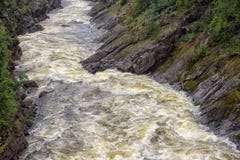 stenig vuoksi för forntida för gruppfinland skog flod för imatra Flod Vuoksa Fotografering för Bildbyråer stenig vuoksi för forntida för gruppfinland skog flod för imatra Flod Vuoksa Fotografering för Bildbyråer