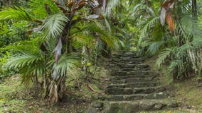 Stentrappuppgången i Pico gör Marumbi /PR- Brasilien royaltyfri foto Stentrappuppgången i Pico gör Marumbi /PR- Brasilien royaltyfri foto