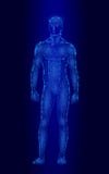 Sterk gezond menselijk lichaam die 3D model laag polyontwerp bevinden zich Android-de mensenfitness van robothumanoid optimale pe stock illustratie Sterk gezond menselijk lichaam die 3D model laag polyontwerp bevinden zich Android-de mensenfitness van robothumanoid optimale pe stock illustratie