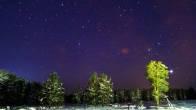 Sterne über der Winterwaldzeitspanne 4K stock video Sterne über der Winterwaldzeitspanne 4K stock video