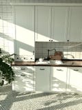 stile scandinavo della cucina laconica bianca con un mosaico sul pavimento e su un rubinetto nero e le piante nell'interno immagine stock libera da diritti stile scandinavo della cucina laconica bianca con un mosaico sul pavimento e su un rubinetto nero e le piante nell'interno immagine stock libera da diritti