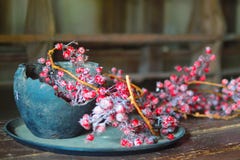 Still life with a clay pot and red berries stock image Still life with a clay pot and red berries stock image