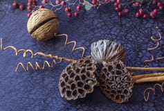 Still life - ikebana of dry lotuses and coconut balls. Branch with dried berries. Textile background stock photo Still life - ikebana of dry lotuses and coconut balls. Branch with dried berries. Textile background stock photo