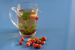 Still life of a mug of herbal tea on blue ceramic tiles with dust texture. With space for text. royalty free stock photography Still life of a mug of herbal tea on blue ceramic tiles with dust texture. With space for text. royalty free stock photography