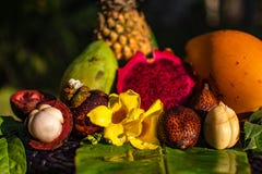 Stilleben för nya frukter för exotiska tingasiat - ananas, mango, drake, ormfruite och mangustin arkivbild Stilleben för nya frukter för exotiska tingasiat - ananas, mango, drake, ormfruite och mangustin arkivbild