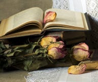 Stilleben med gammala böcker Royaltyfria Bilder Stilleben med gammala böcker Royaltyfria Bilder