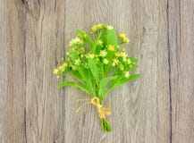 Stilleben med lindblommabuketten Lekmanna- lägenhet, bästa sikt Royaltyfri Fotografi Stilleben med lindblommabuketten Lekmanna- lägenhet, bästa sikt Royaltyfri Fotografi