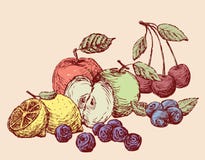 Stilleven van het diverse getrokken fruit Alle geïsoleerde voorwerpen Royalty-vrije Stock Foto's Stilleven van het diverse getrokken fruit Alle geïsoleerde voorwerpen Royalty-vrije Stock Foto's
