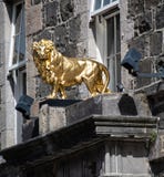 A Golden lion Statuette royalty free stock photography A Golden lion Statuette royalty free stock photography