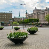 Stockholm/Sverige - Maj 16 2011: Vårblommor i mitten av Stockholm på bakgrunden av en härlig sikt av fotografering för bildbyråer Stockholm/Sverige - Maj 16 2011: Vårblommor i mitten av Stockholm på bakgrunden av en härlig sikt av fotografering för bildbyråer