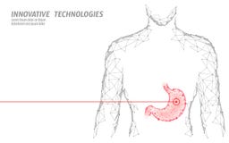 Stomaco sano umano di trattamento farmacologico della medicina Organo interno di digestione Poli triangolo collegato basso di bia illustrazione di stock Stomaco sano umano di trattamento farmacologico della medicina Organo interno di digestione Poli triangolo collegato basso di bia illustrazione di stock