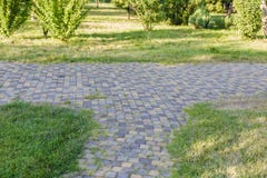 The Stone block walk path in the park with green grass background. stock photography The Stone block walk path in the park with green grass background. stock photography