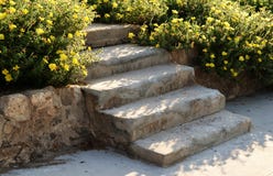 Stone staircase with wild flowers, in Akko, Israel royalty free stock photo Stone staircase with wild flowers, in Akko, Israel royalty free stock photo