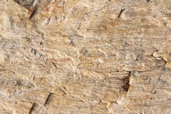 Stone texture - background royalty free stock images Stone texture - background royalty free stock images