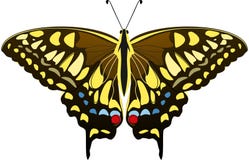 Stor brun fjäril med blåa, gula och röda fläckar Mahaon fjärilsPapilio machaon också vektor för coreldrawillustration royaltyfri illustrationer Stor brun fjäril med blåa, gula och röda fläckar Mahaon fjärilsPapilio machaon också vektor för coreldrawillustration royaltyfri illustrationer