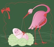 Stork With Baby Royalty Free Stock Image