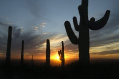 Storm clouds build at sunset in Arizona's Sonoran Desert