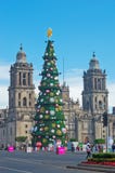 Storstads- domkyrka- och julgrangarneringar i Zocalo Mexico - stad fotografering för bildbyråer Storstads- domkyrka- och julgrangarneringar i Zocalo Mexico - stad fotografering för bildbyråer