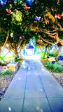 Storybook Path royalty free stock image Storybook Path royalty free stock image
