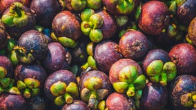 Stos Świeża mangostan owoc zdjęcia stock Stos Świeża mangostan owoc zdjęcia stock