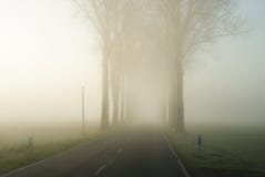 Strada campestre in un paesaggio rurale senza fine con una fila degli alberi nudi Fotografia Stock Libera da Diritti Strada campestre in un paesaggio rurale senza fine con una fila degli alberi nudi Fotografia Stock Libera da Diritti
