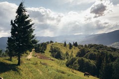 Strada che conduce alla cima della montagna fotografie stock Strada che conduce alla cima della montagna fotografie stock