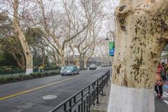 Strada nella città di Hangzhou vicino al lago più lakeWest Cina Xihu fotografia stock Strada nella città di Hangzhou vicino al lago più lakeWest Cina Xihu fotografia stock