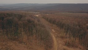 Strada non asfaltata nella foresta Strada non asfaltata nella foresta