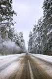 Strada principale con l'inverno della foresta, strada, inverno attillato della foresta, paesaggio freddo Precipitazioni nevose pe fotografia stock libera da diritti Strada principale con l'inverno della foresta, strada, inverno attillato della foresta, paesaggio freddo Precipitazioni nevose pe fotografia stock libera da diritti