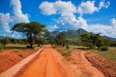 Strada a terra rossa, cespuglio con la savanna. Tsavo ad ovest, Kenia, Africa immagine stock libera da diritti Strada a terra rossa, cespuglio con la savanna. Tsavo ad ovest, Kenia, Africa immagine stock libera da diritti