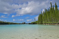 Straight view of Natural Pool with large rock in the centre and pine trees on the right stock photos Straight view of Natural Pool with large rock in the centre and pine trees on the right stock photos