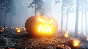 Straszna gigant bania w mgły nocy lasowym strachu i horrorze Mistic i Halloween pojęcie świadczenia 3 d ilustracji Straszna gigant bania w mgły nocy lasowym strachu i horrorze Mistic i Halloween pojęcie świadczenia 3 d ilustracji