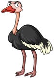 Straußvogel auf weißem Hintergrund vektor abbildung Straußvogel auf weißem Hintergrund vektor abbildung