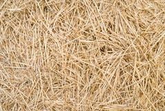 Straw Royalty Free Stock Photography