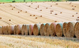 Straw Bales Royalty Free Stock Images