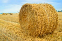 Straw Bales Stock Images