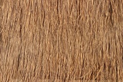 Straw Roof Texture For Background Royalty Free Stock Images Straw Roof Texture For Background Royalty Free Stock Images
