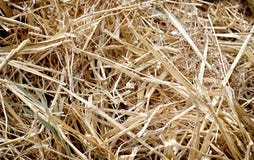 Straw texture,background,farm work Stock Photos Straw texture,background,farm work Stock Photos