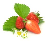 Strawberries Royalty Free Stock Photography