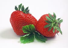 Strawberries Stock Photos