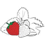 Strawberries Strawberries