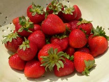 Strawberries In Collander Stock Photography