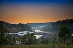 Strawberry farm with mountain background at morning time royalty free stock image Strawberry farm with mountain background at morning time royalty free stock image