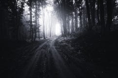 Straße durch dunkles mysteriöses Holz Lizenzfreie Stockfotos Straße durch dunkles mysteriöses Holz Lizenzfreie Stockfotos