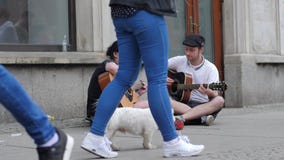 Straßenmusik, Paar von Gitarristen spielt und singt auf der Straße, die auf Asphalt unter Passanten sitzt stock video Straßenmusik, Paar von Gitarristen spielt und singt auf der Straße, die auf Asphalt unter Passanten sitzt stock video