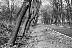 Straßenphotographie, Gegenstände, Beschaffenheiten, Landschaften stockfoto Straßenphotographie, Gegenstände, Beschaffenheiten, Landschaften stockfoto