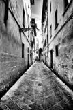 Street architecture of Florence, city landscapes II
