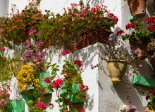 Street of Cordoba royalty free stock photography Street of Cordoba royalty free stock photography